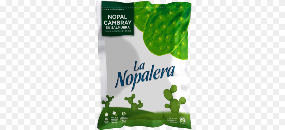 Download Hd Nopales With Love Herbal Transparent Herb Png Image