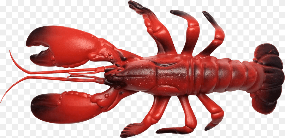 Download Hd Olhzn Space Lobster Lobster American Lobster, Animal, Food, Invertebrate, Sea Life Free Transparent Png