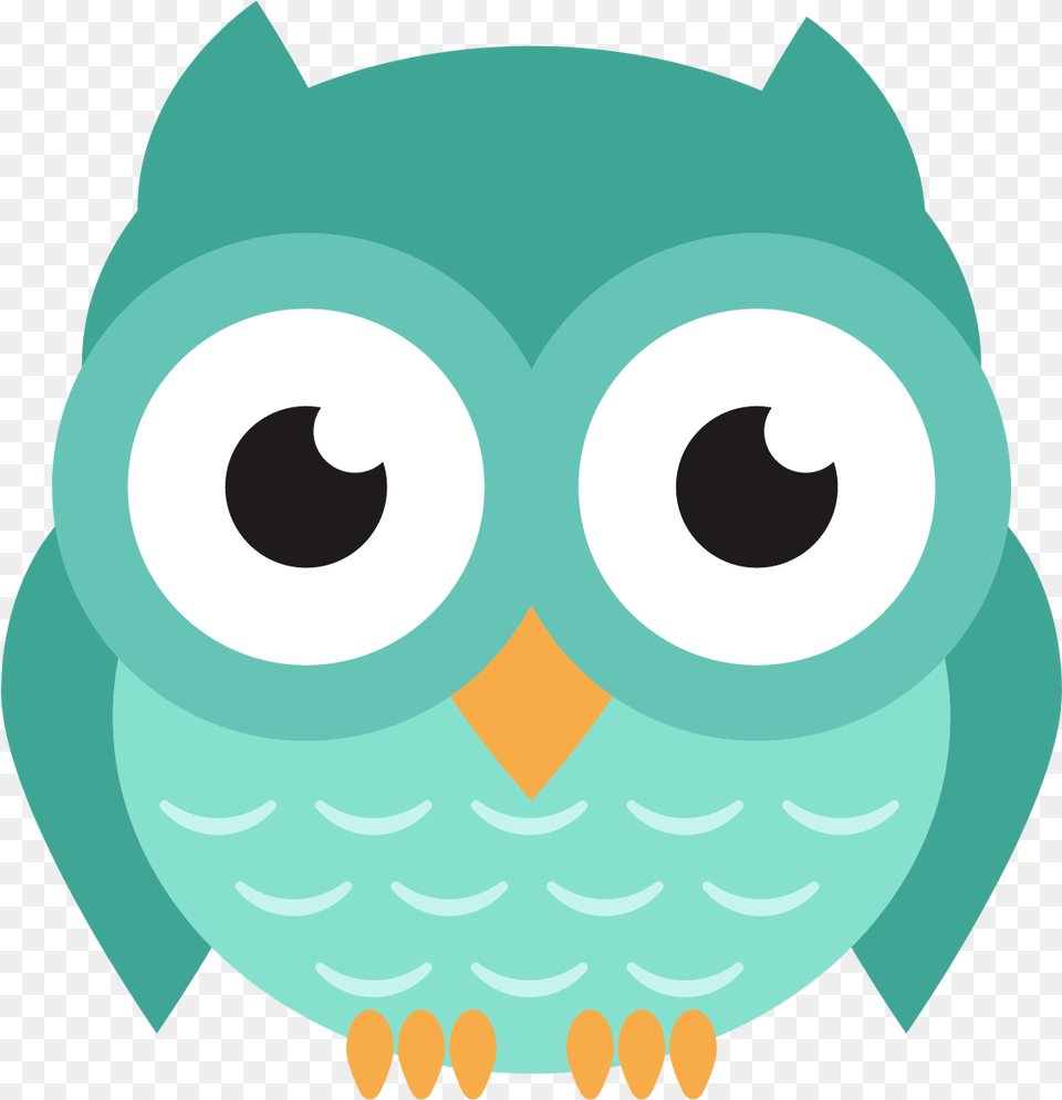 Download Hd Owl Sweet Clipart Owl Clip Art, Baby, Person, Face, Head Free Transparent Png