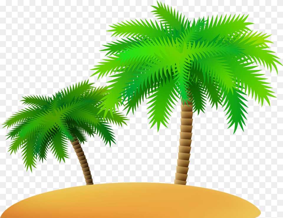 Hd Palms And Island Clip Art Image Palm Tree Free Png Download