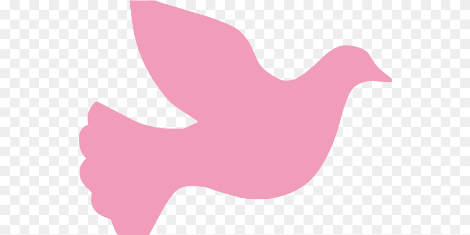 Download Hd Peace Dove Clipart Vigil Dove Silhouette, Animal, Bird, Pigeon, Baby Free Png