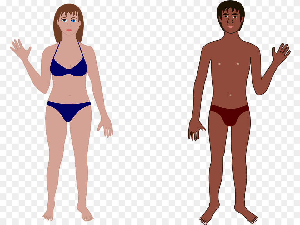 Download Hd People Clipart Bathing Suit People Who Are Both Genders, Bikini, Clothing, Swimwear, Adult Png Image