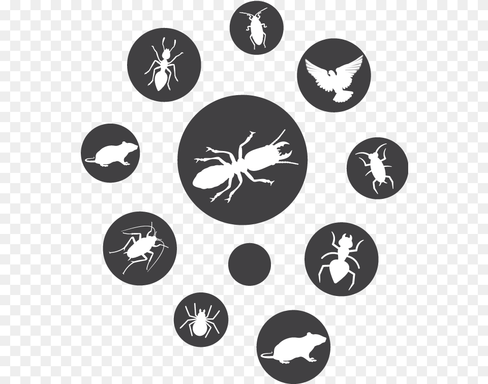 Download Hd Pest Circle Icons Pest Control Icon Green Park, Animal, Invertebrate, Spider, Crawdad Free Png