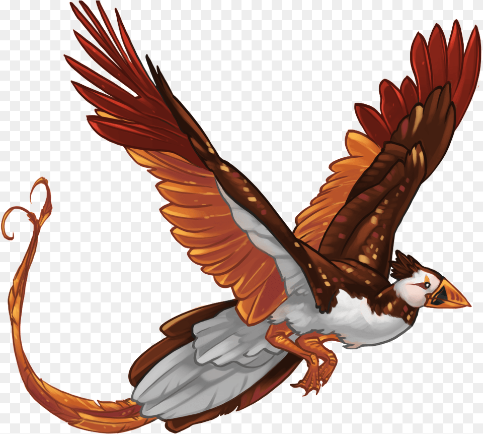 Download Hd Pheonix Template Autumn Zpsdd43cdc6 Hawk Falconiformes, Animal, Bird, Flying, Beak Free Transparent Png