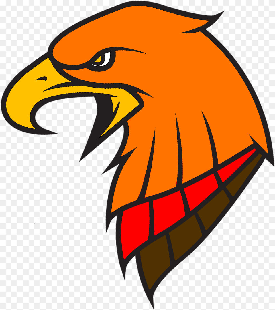 Download Hd Phoenix Volleyball Club Moose Jaw Phoenix Bird Head, Animal, Beak, Eagle, Fish Free Png