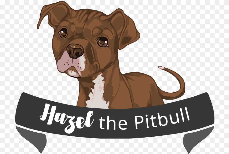 Download Hd Pitbull Boxer, Animal, Bulldog, Canine, Dog Png Image