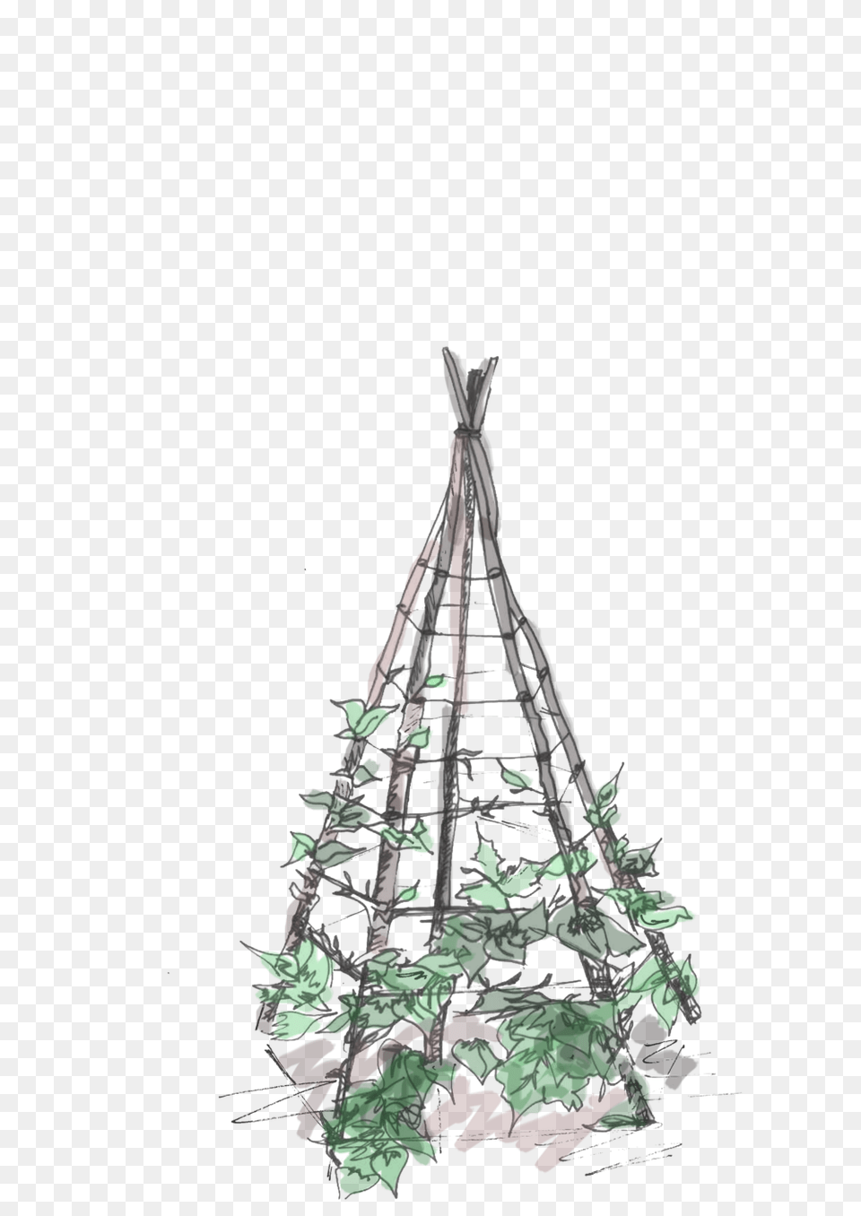 Download Hd Plant Teepee Transparent Nicepngcom Christmas Tree, Potted Plant, Art, Chandelier, Lamp Png Image