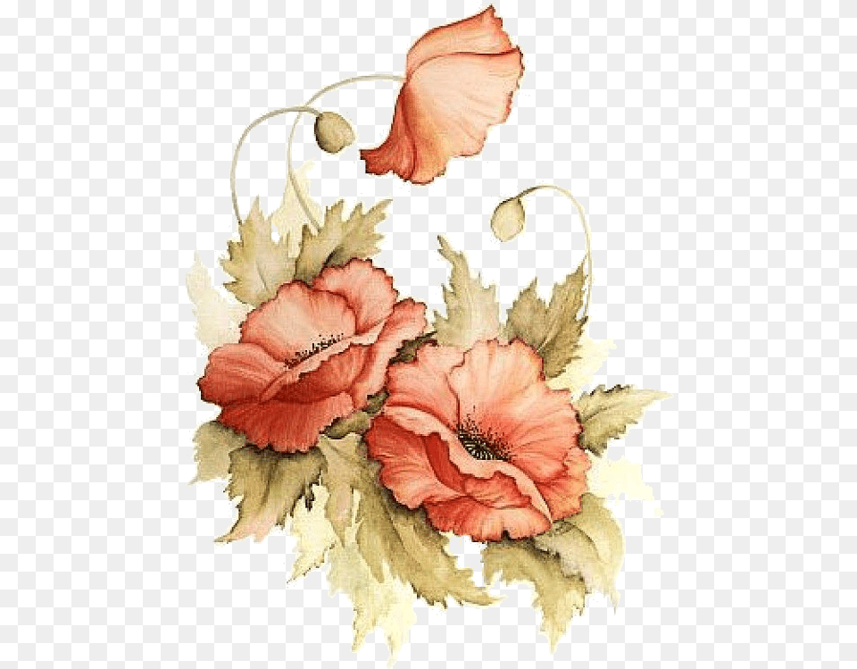 Download Hd Poppies Painted Flowers Transparent Painted Flowers Transparent, Flower, Plant, Pattern, Petal Png Image