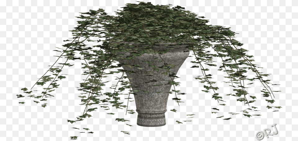 Download Hd Potted Plants Set I Bigtree Canoe Birch, Ivy, Plant, Tree, Jar Png