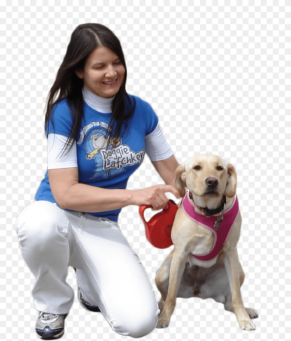 Download Hd Puppy Pet Sitting People Person With Dog, Adult, Mammal, Woman, Female Free Png