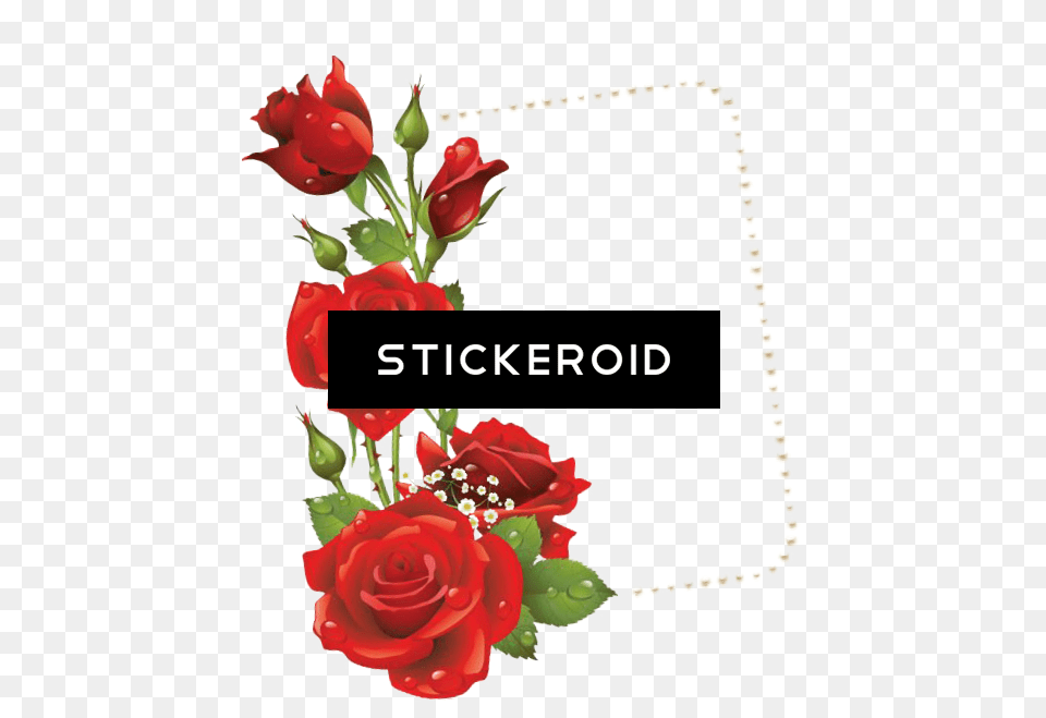 Download Hd Red Flower Frame Border Frames Transparent Imagem De Rosas, Rose, Plant, Mail, Greeting Card Free Png