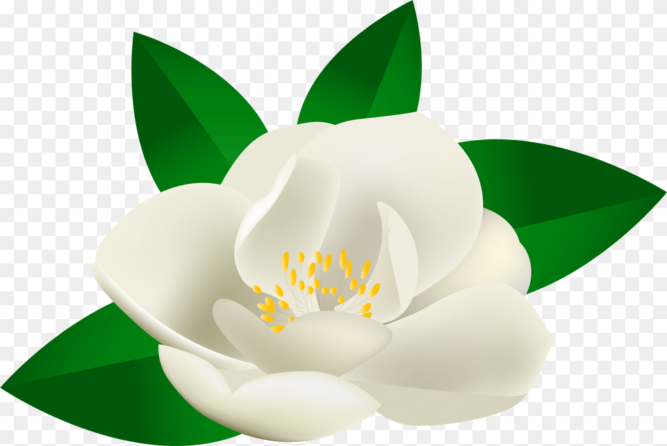 Download Hd Rose Bush Flower Transparent Clip Art Rosal Clipart, Anemone, Anther, Plant, Petal Png Image