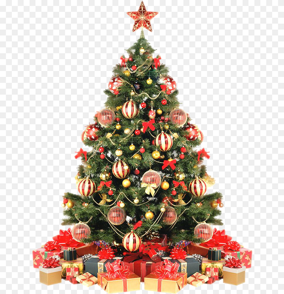 Download Hd Rvore De Natal 12 Christmas Tree Decorated Christmas Tree In The Philippines, Christmas Decorations, Festival, Plant, Christmas Tree Png