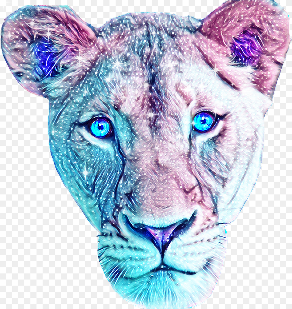 Download Hd Sclions Sticker Anime Transparent Lioness Lioness, Animal, Wildlife, Lion, Mammal Free Png