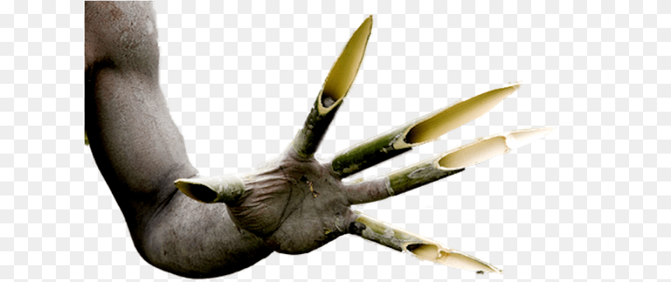 Hd Share This Monster With Long Claws Long Claws, Electronics, Hardware, Hook, Claw Free Png Download