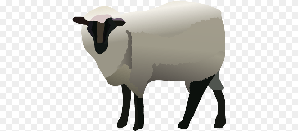 Download Hd Sheep Clipart Nativity Animal Sheep Bighorn, Livestock, Mammal, Person Png