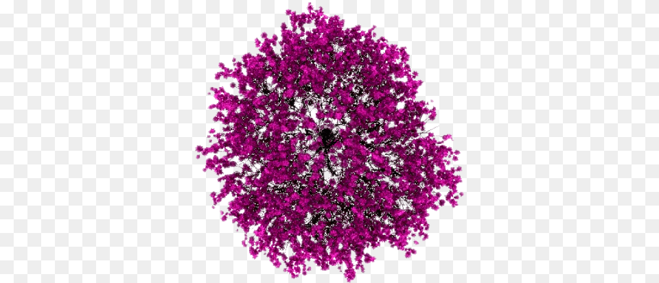 Download Hd Single Bed Top View, Purple, Accessories, Flower, Plant Png Image