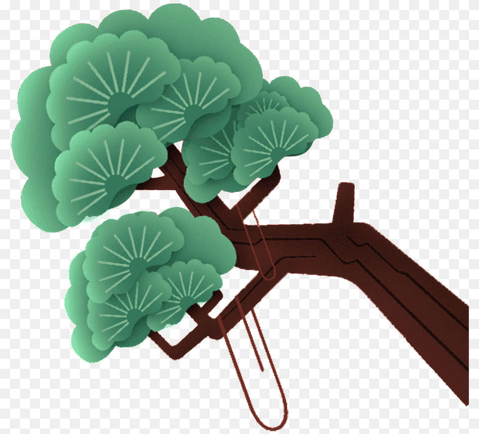 Download Hd Slanted Pine Tree Illustration About Pine Tree Illustrations, Flower, Geranium, Leaf, Plant Png