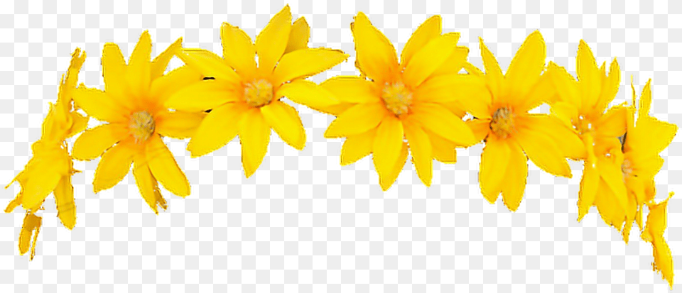 Download Hd Snapchat Filter Flowercrown Character Render Yellow Flower Crown Transparent, Anther, Petal, Plant, Daffodil Png
