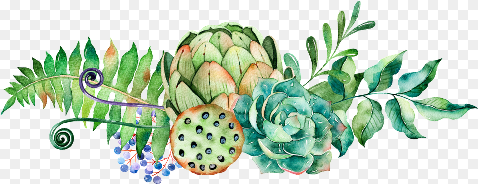 Download Hd Succulents Lotus Watercolor Transparent Watercolor Transparent Succulent Clip Art, Plant, Food, Leaf, Produce Free Png