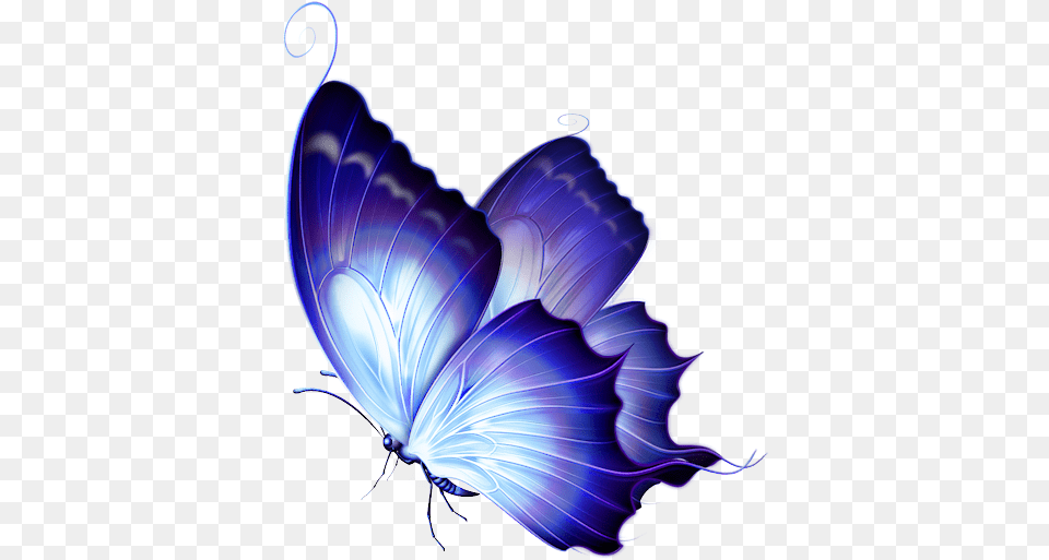 Download Hd Svetlera Purple And Gold Blue Purple Butterflies, Pattern, Accessories, Art, Graphics Png Image