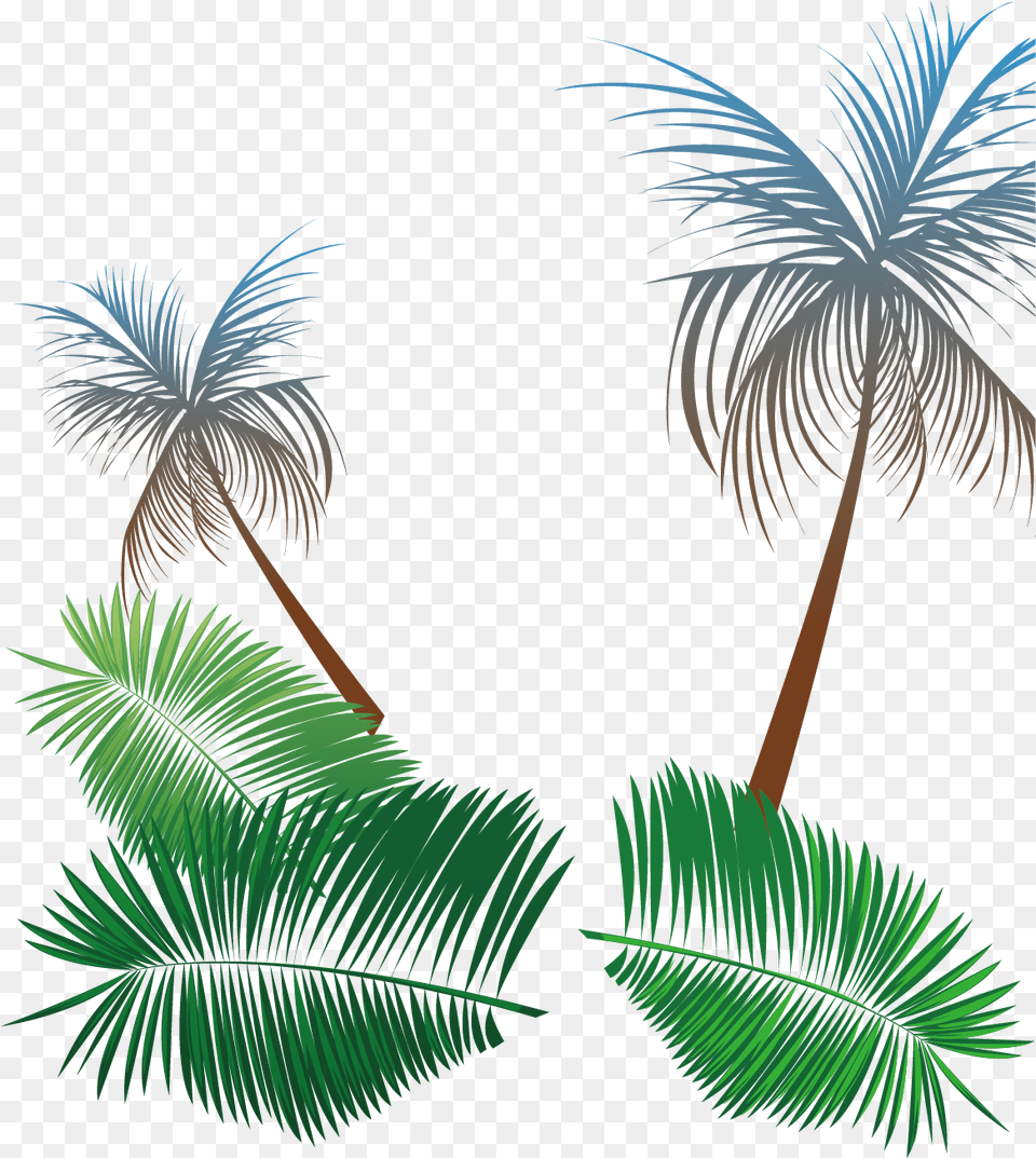 Hd Svg Transparent Library Beach Coconut Tree Summer Palm Vector, Vegetation, Plant, Palm Tree, Outdoors Free Png Download