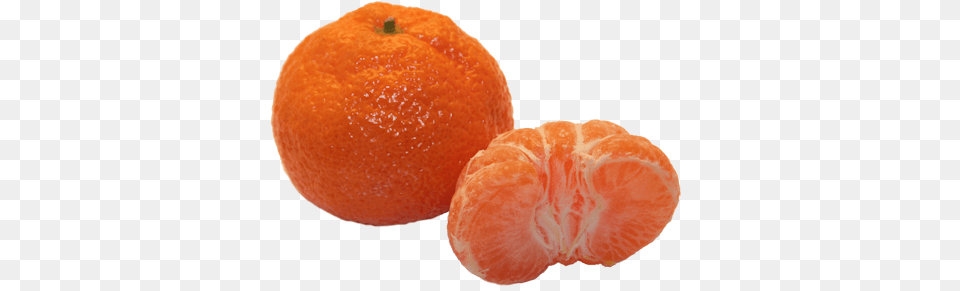 Download Hd Tangerines Satsuma Fruit Image Satsumas Fruit, Citrus Fruit, Food, Grapefruit, Orange Free Transparent Png