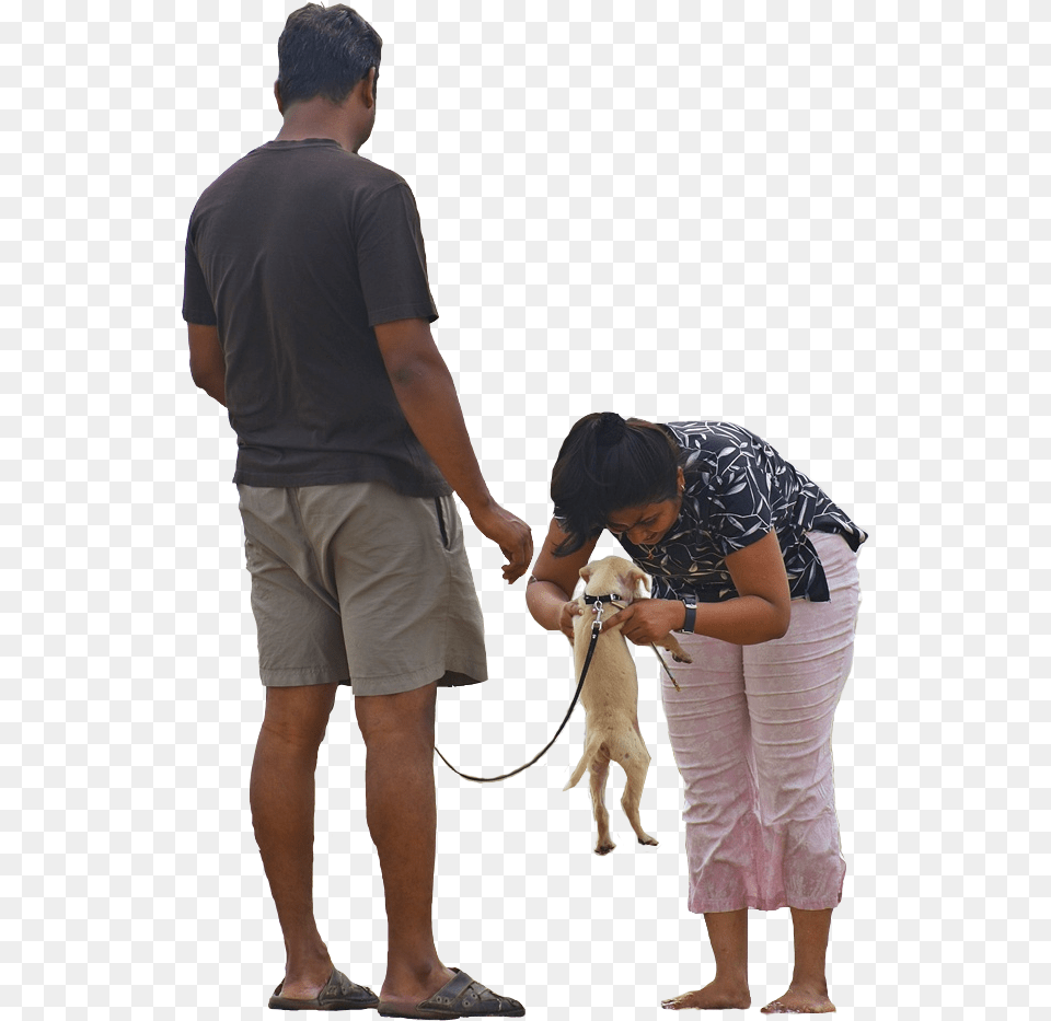 Download Hd The Gallery For People Walking Family With Dog, Accessories, Strap, Shorts, Clothing Free Png