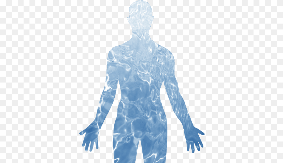 Download Hd The Human Body Is Primarily Composed Of Water Water Human Body Transparent, Back, Body Part, Person, Adult Free Png