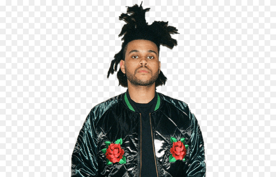 Download Hd The Weeknd Rose Jacket Weeknd Palm Tree Hair Weekend Palm Tree Hair, Adult, Photography, Person, Man Png