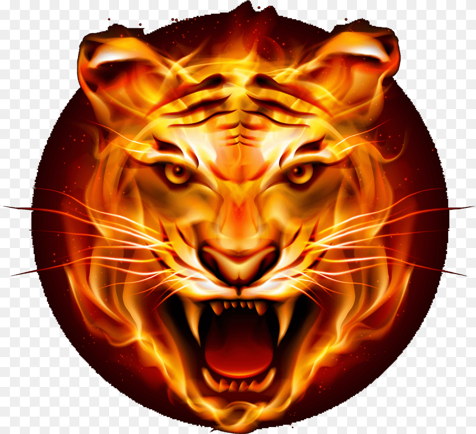 Download Hd Tiger Logo Tiger Logo Hd, Animal, Lion, Mammal, Person Free Png