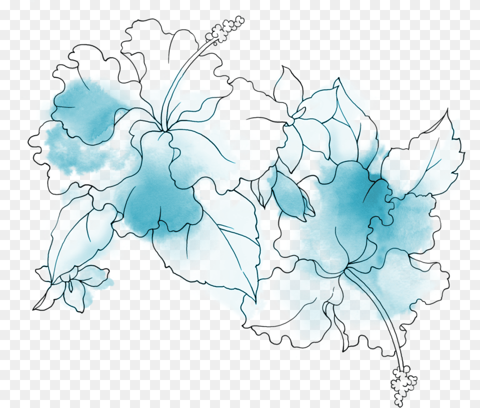 Download Hd Transparent Blue Flowers Transparent Blue Flowers Drawing, Chart, Map, Plot, Atlas Free Png