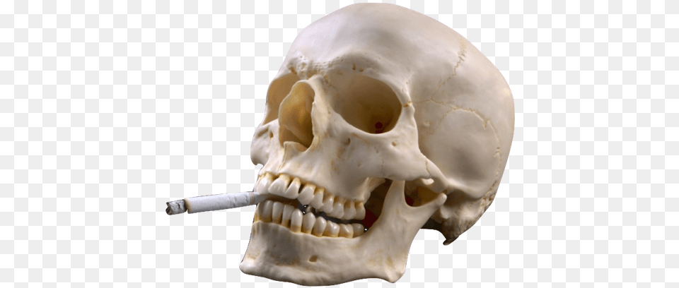 Download Hd Smoking Skull Grunge Tobacco The Silent Killer, Face, Head, Person Free Transparent Png