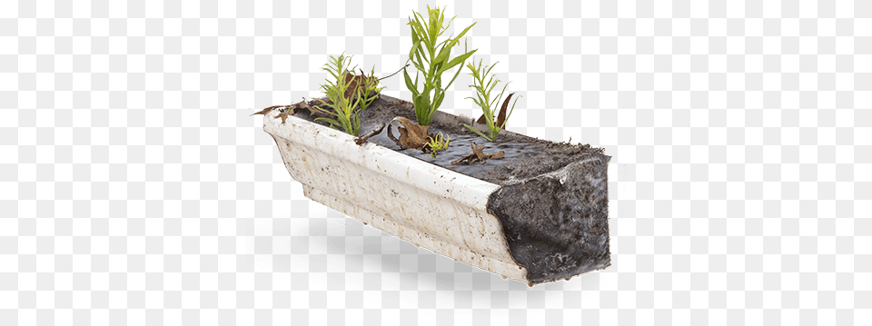 Download Hd Traps Debris U0026 Blocks The Flow Of Water Honeybee, Jar, Plant, Planter, Potted Plant Free Png