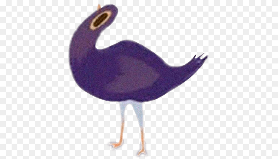 Download Hd Trash Doves Purple Bird Facebook Emoticon Facebook Pigeon, Animal, Beak, Waterfowl, Cormorant Free Png