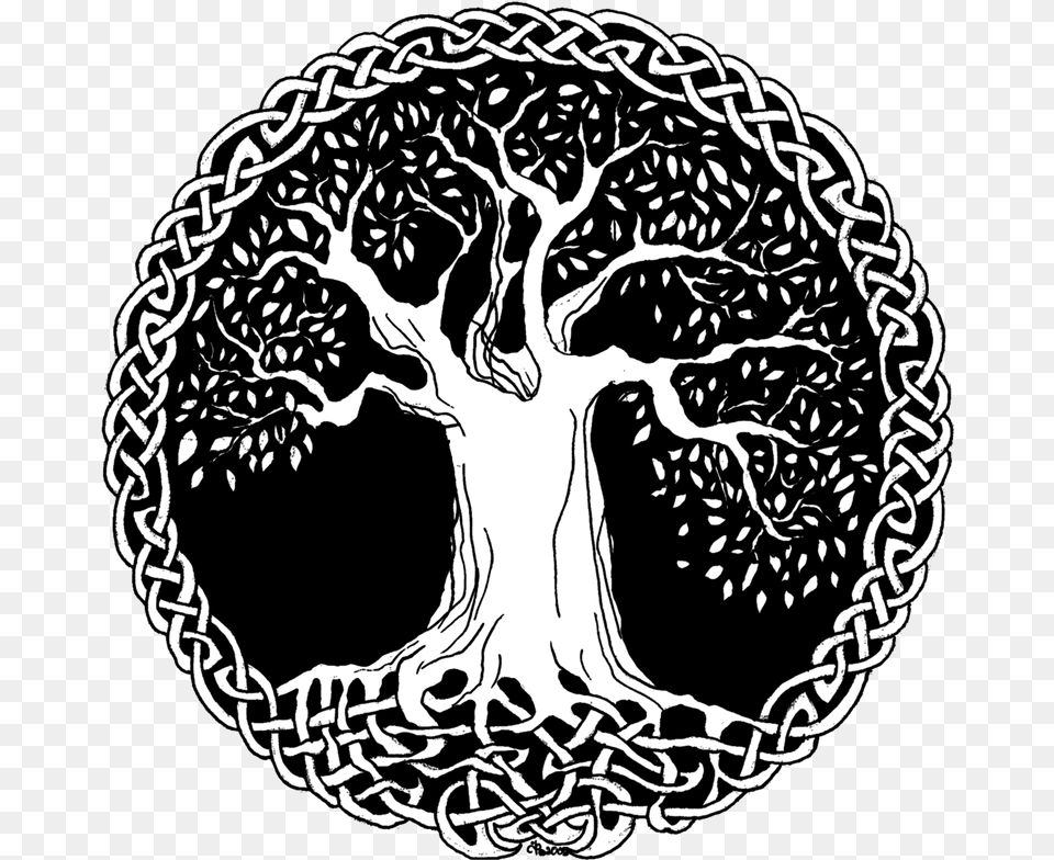 Download Hd Tree Of Life Celtic Tree Of Life, Stencil, Art, Ct Scan, Drawing Free Png
