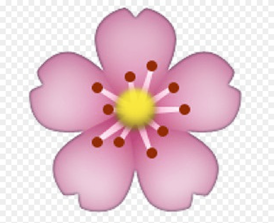 Download Hd Tumblr Emoji Cherry Blossom Emoji, Anemone, Anther, Flower, Plant Free Transparent Png