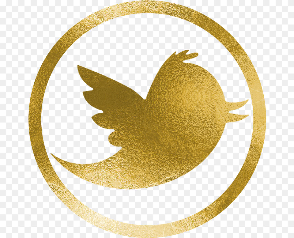 Download Hd Twitter Gold Twitter Logo Twitter Logo In Gold, Leaf, Plant, Symbol, Person Free Transparent Png