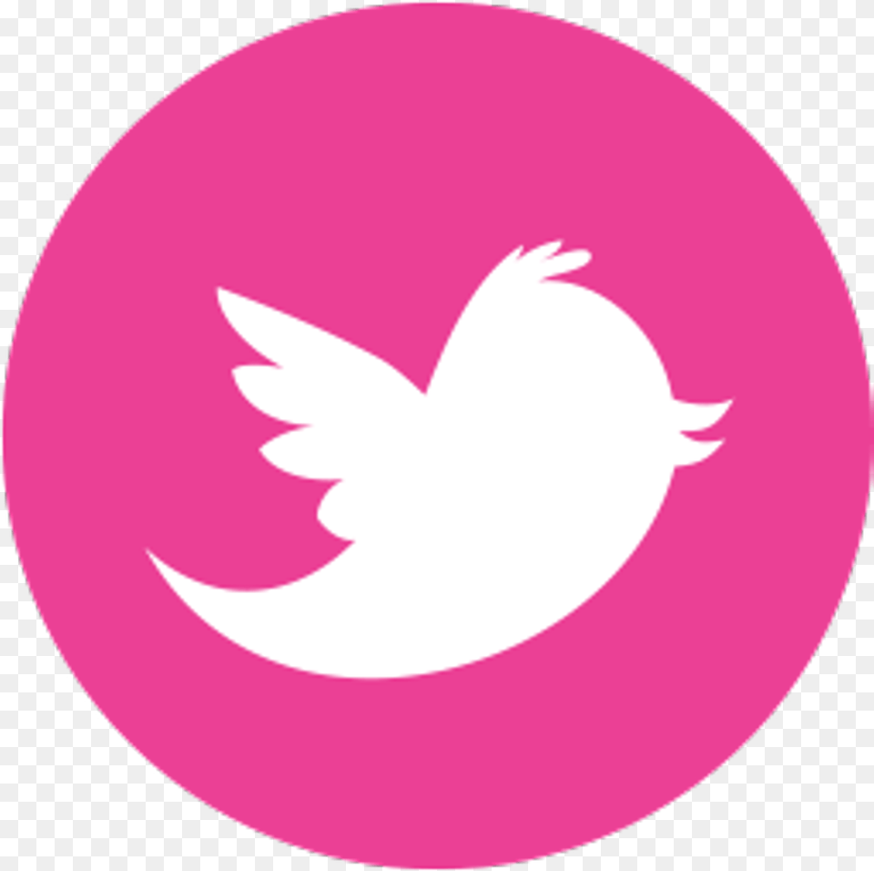 Download Hd Twitter Logo Pink Transparent Pink Twitter Logo, Astronomy, Moon, Nature, Night Png