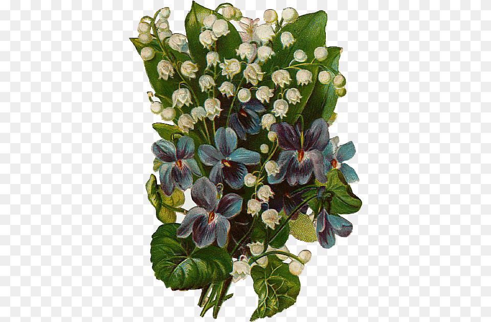 Download Hd Vintage Violets And Lilys Clip Art, Plant, Flower, Flower Arrangement, Flower Bouquet Png