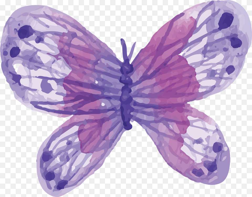 Download Hd Watercolor Butterfly Purple Watercolor Butterfly, Flower, Petal, Plant, Animal Png Image