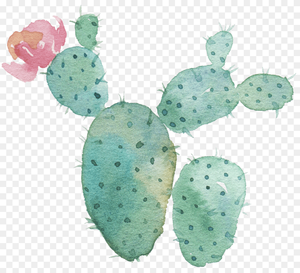 Download Hd Watercolor Cactus Background Watercolor Cactus Clipart, Plant, Nature, Outdoors, Snow Free Transparent Png