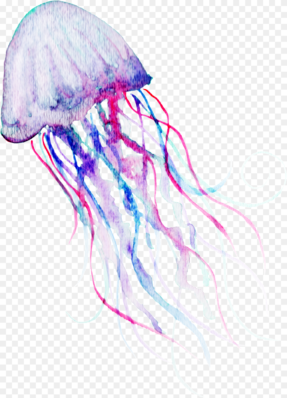 Download Hd Watercolor Deep Sea Jelly, Animal, Sea Life, Invertebrate, Jellyfish Free Transparent Png