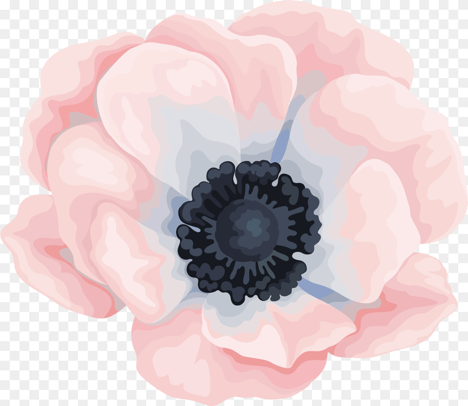 Download Hd Watercolour Flowers Canvas Painting Of Flowers Water Color, Anemone, Flower, Plant, Petal Png