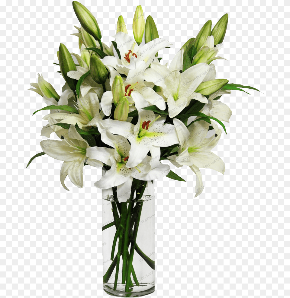 Download Hd White Lily Bouquet Flower In Vase Transparent, Flower Arrangement, Flower Bouquet, Plant Free Png