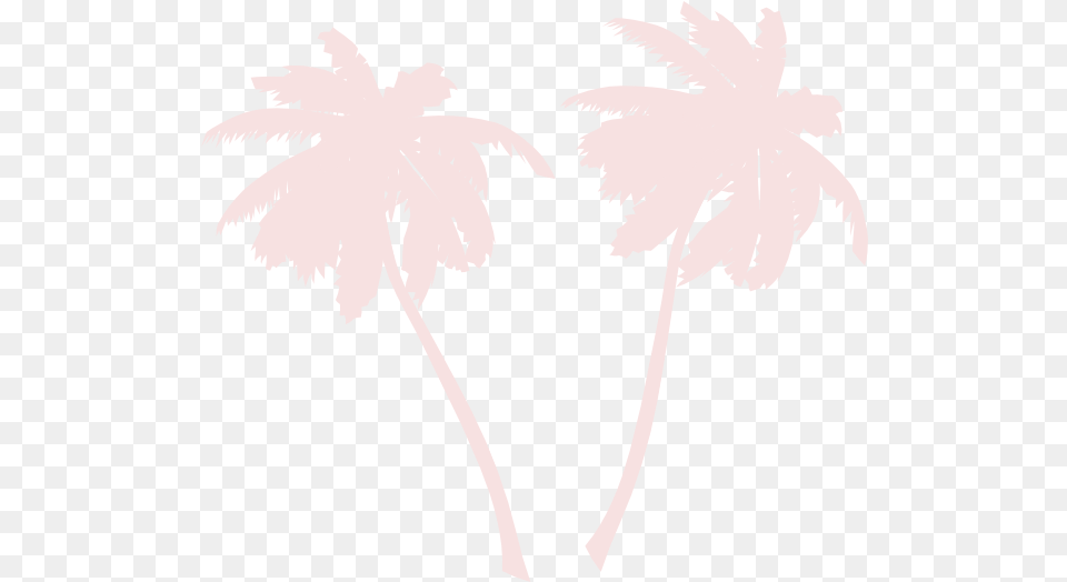 Download Hd White Palm Tree Outline Vector White Palm Tree, Palm Tree, Plant, Stencil, Person Free Png