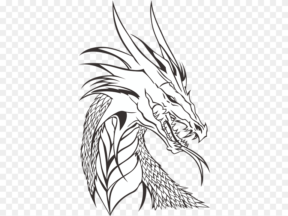 Download Hd Who Is Your Favorite Dragon Realistic Dragon Realistic Coloring Pages Dragon, Adult, Female, Person, Woman Free Png