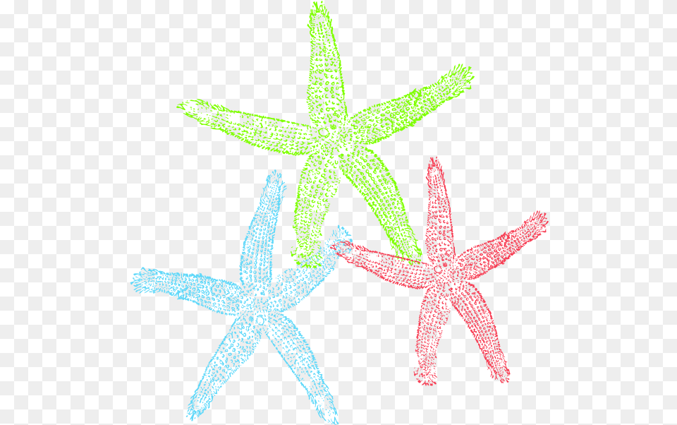 Download Hd Yellow Clipart Sea Star Starfish Clip Art 2 Starfish Clipart, Animal, Sea Life, Invertebrate, Cross Png Image