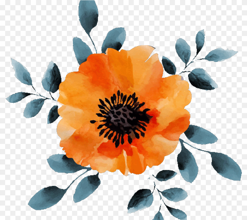 Download Hd Yellow Flowers Watercolor Watercolor Yellow Flowers, Anemone, Flower, Petal, Plant Free Png