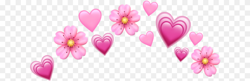 Heart Emoji Crown Purple Heart Crown Transparent, Flower, Petal, Plant Free Png Download